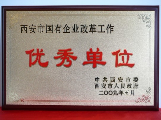 2009年5月，被西安市委、市政府評(píng)為西安市國(guó)企業(yè)改革工作優(yōu)秀單位