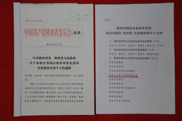 2009年2月，被陜西省委、省政府授予陜西省國(guó)有企業(yè)改革攻堅(jiān)先進(jìn)集體